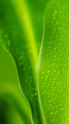 android_upload_pic-喜喜婚纱HAPPINESS STUDIO奢定馆(海淀体验馆)