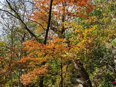 -玉渡山自然风景区