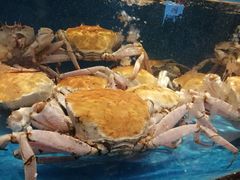 -悦海楼(三衢路店)