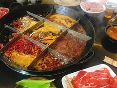 -肥龙火锅(南坪店)