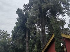 -武侯墓风景区