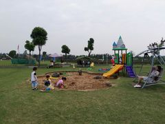 -明珠湖天鹅苑·农家菜馆