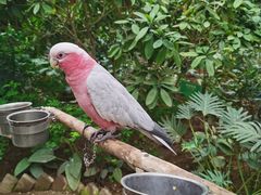 -南宫五洲植物乐园