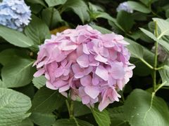 -常州古运河南大街文化旅游区-人民公园