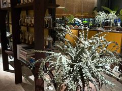 -元生咖啡(陶溪川店)