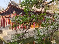 -华清宫景区