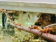 -上海昆虫博物馆