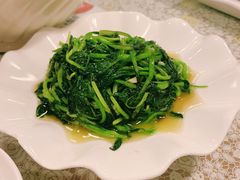 鸡毛菜-文三里屯面馆(三里屯店)