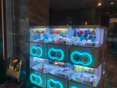 -东方御宴海鲜酒楼(棕泉酒店)