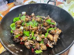 -吃奇喝哈童子鸡