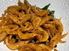 -阿五黄河大鲤鱼(纬三路店)