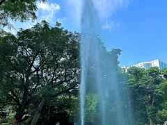 -九龙公园