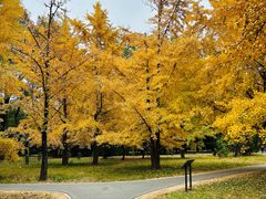 -国家植物园南园