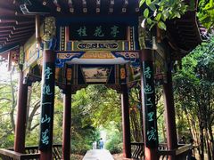 -潜山国家森林公园
