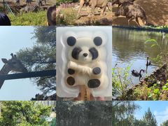 -沈阳森林动物园