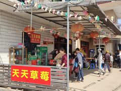 -青浦采草莓天天草莓园