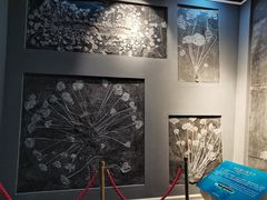 -辽宁古生物博物馆