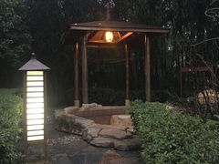 -金孔雀温泉旅游度假村