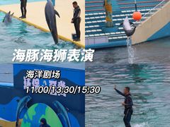 -秦皇岛乐岛海洋王国