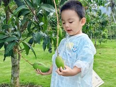 -石梅湾艾美度假酒店