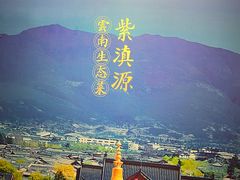-紫滇源云南生态菜(丹凤街店)