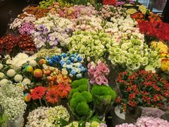 -双季花艺园艺市场(浦东店)