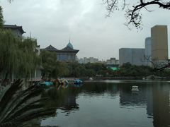 -文瀛公园