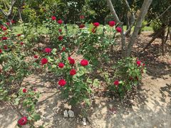 -上海交通大学(闵行校区)