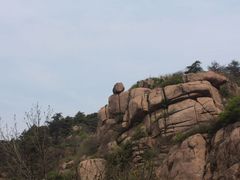 -鲁山国家森林公园