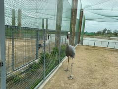 -盐城丹顶鹤湿地生态旅游区