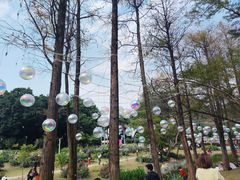 -人民公园(罗湖区)