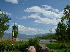 android_upload_pic-西昌邛海湿地