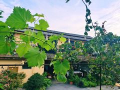 -悦哉·派对·草坪婚礼·围炉煮茶(三圣乡店)