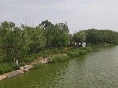 -大兴滨河森林公园