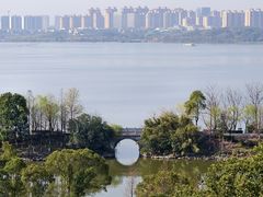 -舜华临武鸭(岳阳东站)