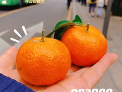 -深圳仙湖植物园-停车场