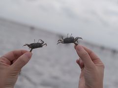 -南汇新城海滩