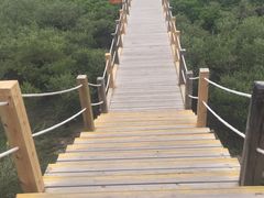 -北海金海湾红树林生态旅游区