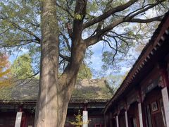 -少华山国家森林公园