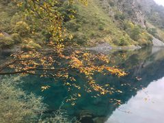 -叠溪松坪沟景区