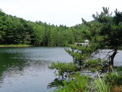 -四明山国家森林公园