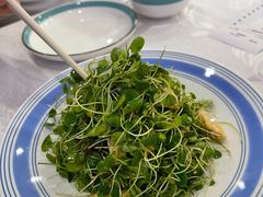 香椿苗豆腐丝-鸿禧大清花(方庄店)