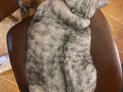 -H立方实景剧情密室(天河旗舰店)