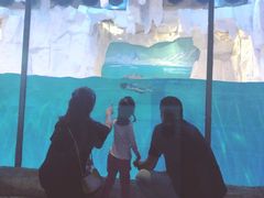 -华夏文旅海洋公园