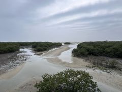 -北海金海湾红树林生态旅游区
