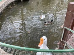 -南宫五洲植物乐园