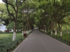 -苏堤停车场