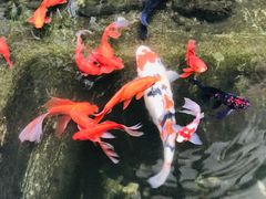 -家的味道餐厅·新鲜实惠