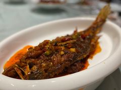 -一轩饺子馆(丽都店)