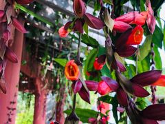 -华南国家植物园-售票处